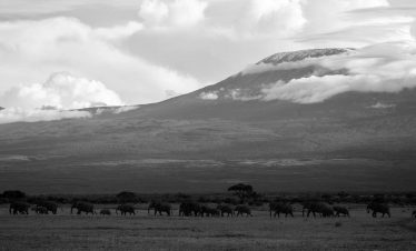 04 DAYS 05 NIGHTS BIG GAME SAFARI (Tsavo West & Amboseli National Parks)