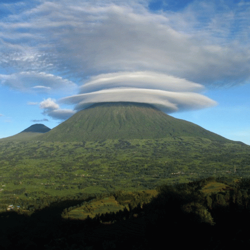 08 NIGHTS 09 DAYS RWANDA INTREPID PRIMATES & WILDLIFE ADVENTURE