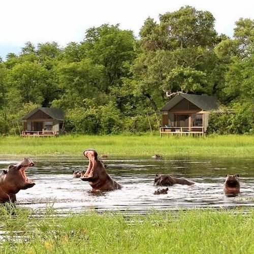 06 NIGHTS 07 DAYS DISCOVER BOTSWANA