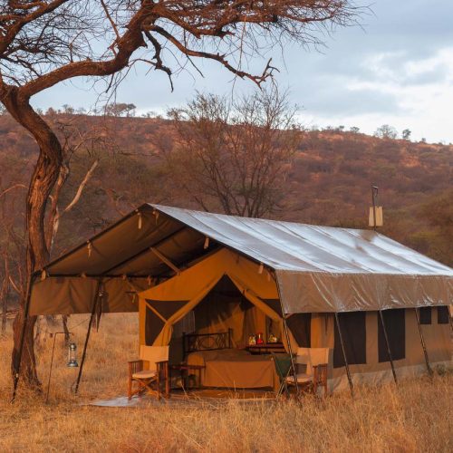 04 NIGHTS 05 DAYS TANZANIA HIGHLIGHTS