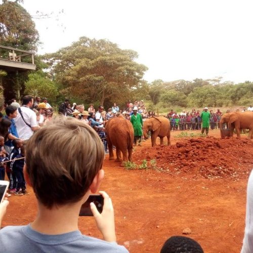 David Sheldrick Elephant Orphanage