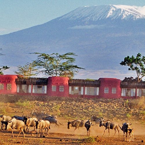 02 Nights 03 Days Amboseli Serena Flying Package