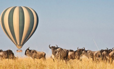 Balloon Safari Program
