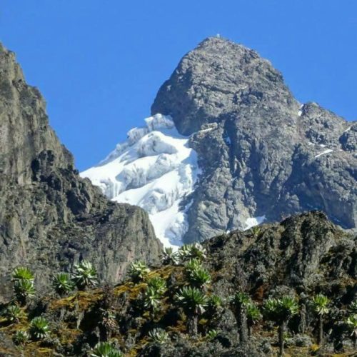 9 Days Rwenzori Mountain Hiking Safari