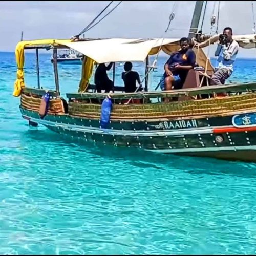 Dhow Sailing Tour of Kisite Marine Park & Wasini Island