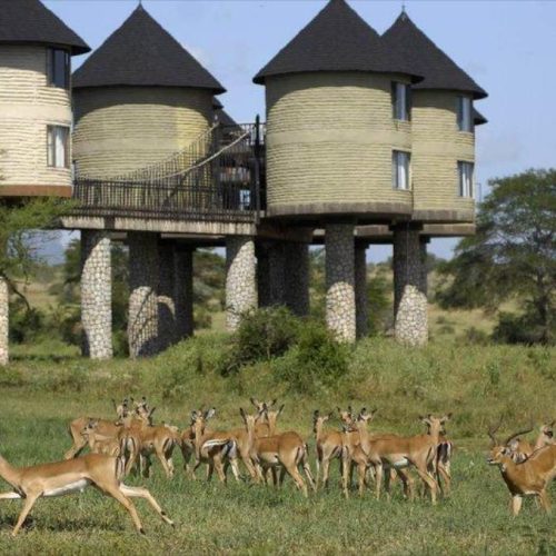 02 Nights 03 Days Tsavo East National Park & Salt Lick Safari
