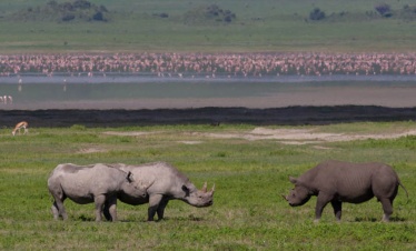 03 NIGHTS 04 DAYS TARANGIRE-NGORONGORO & LK. MANYARA