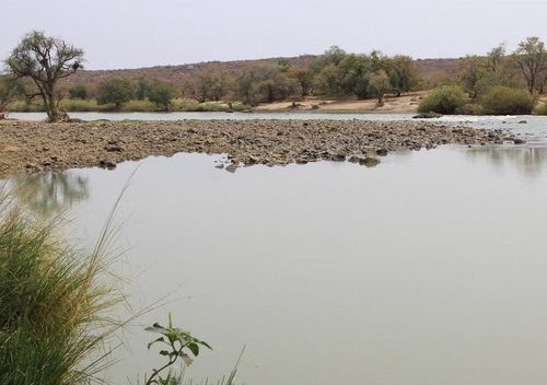 14 DAYS DESERT, WILDLIFE & DUNES OF NAMIBIA- GUIDED LODGE TOUR