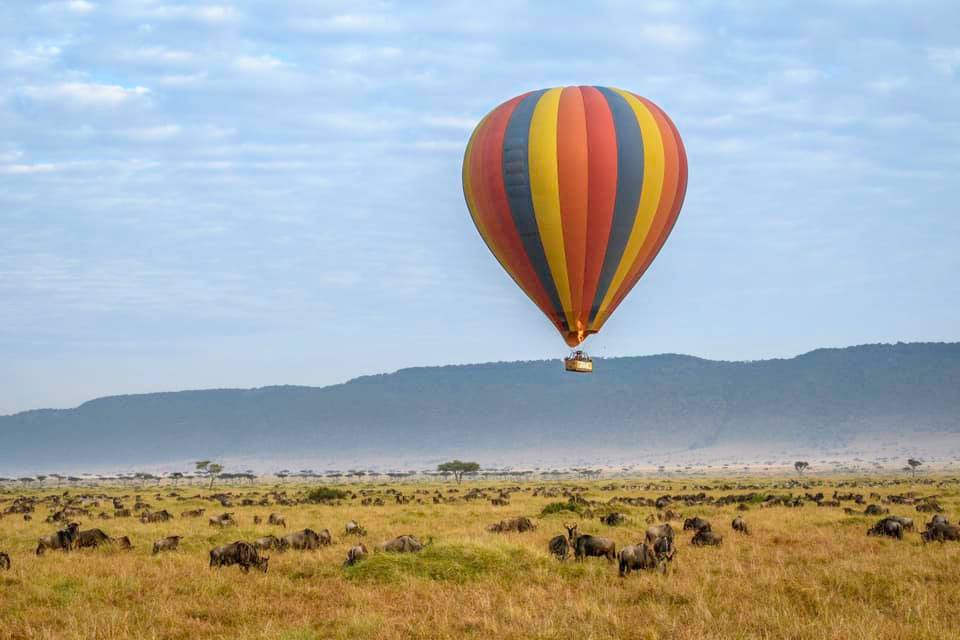 balloon_safari