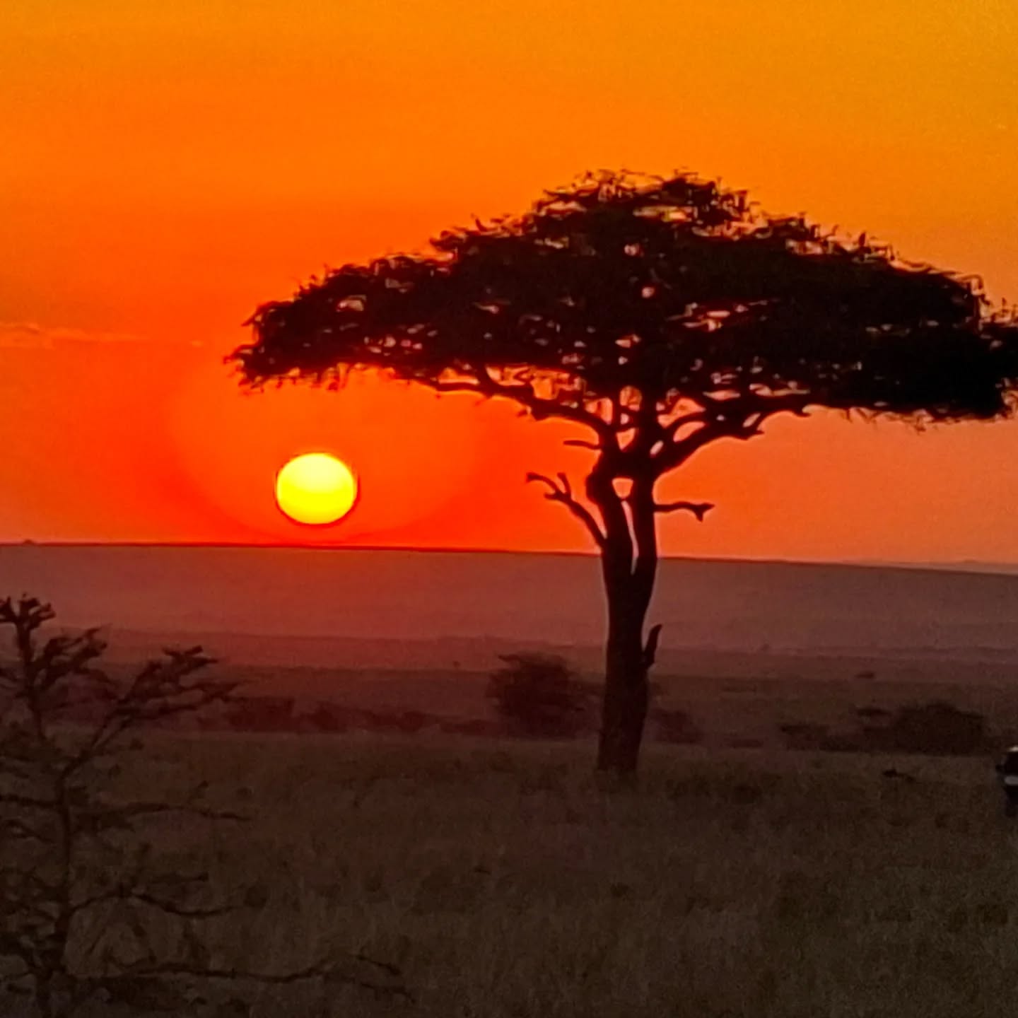african_sunsets